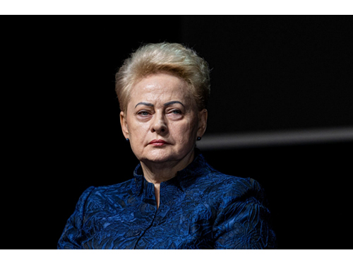 D. Grybauskaitė ragina Lietuvos „taikaus gyvenimo biudžetą“ versti „gynybos biudžetu“ 