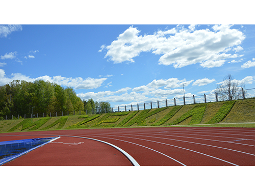 Atidarytas atnaujintas stadionas